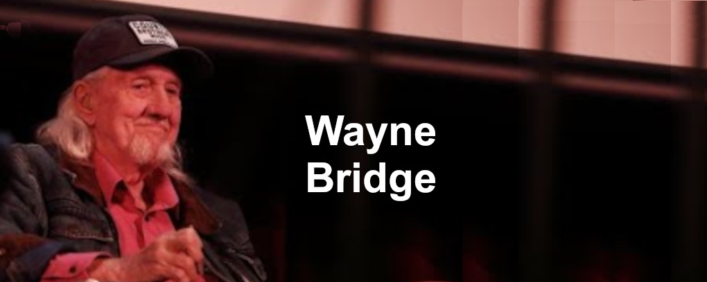 Wayne Bridge